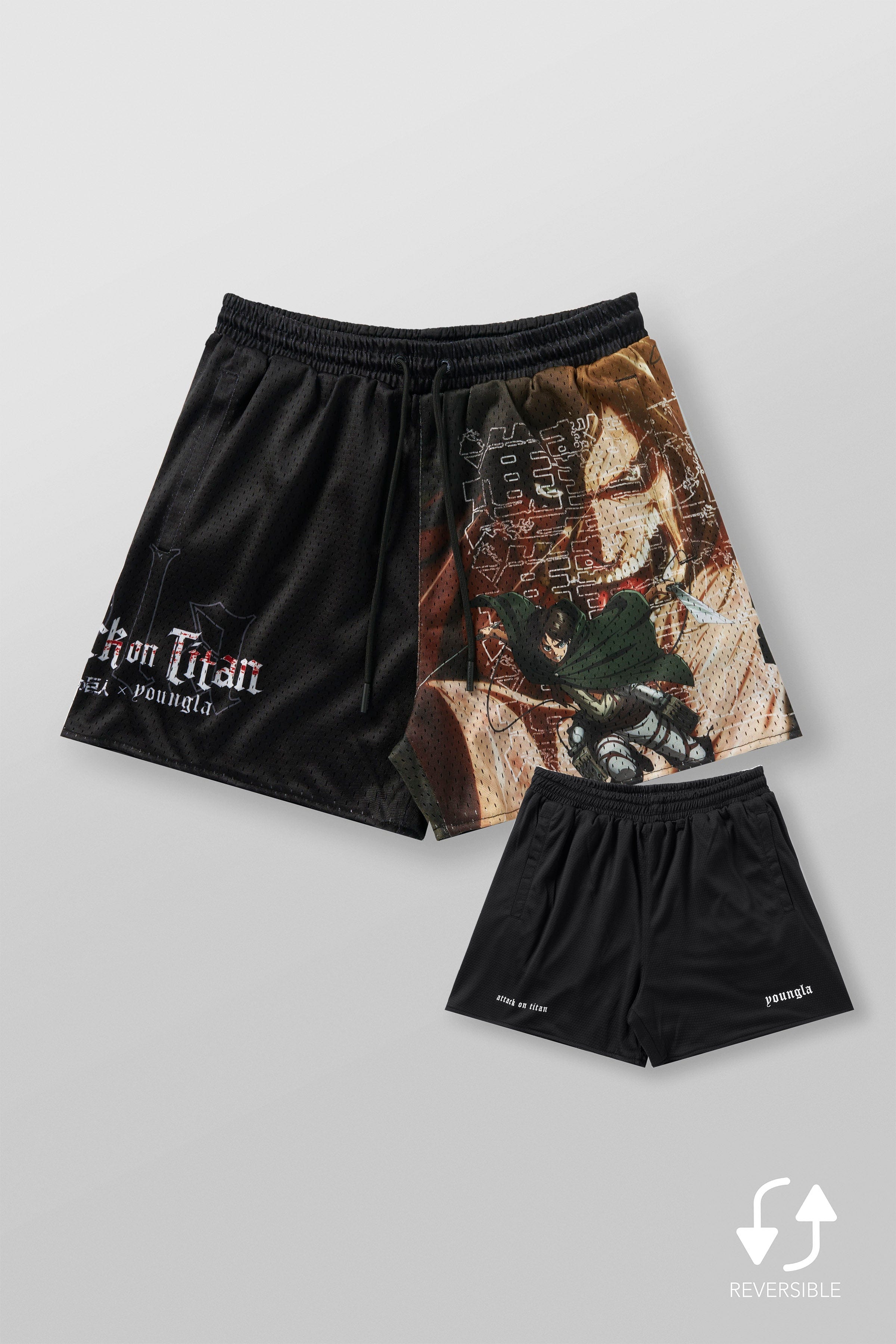 1126 - AOT© x YLA Mesh Shorts