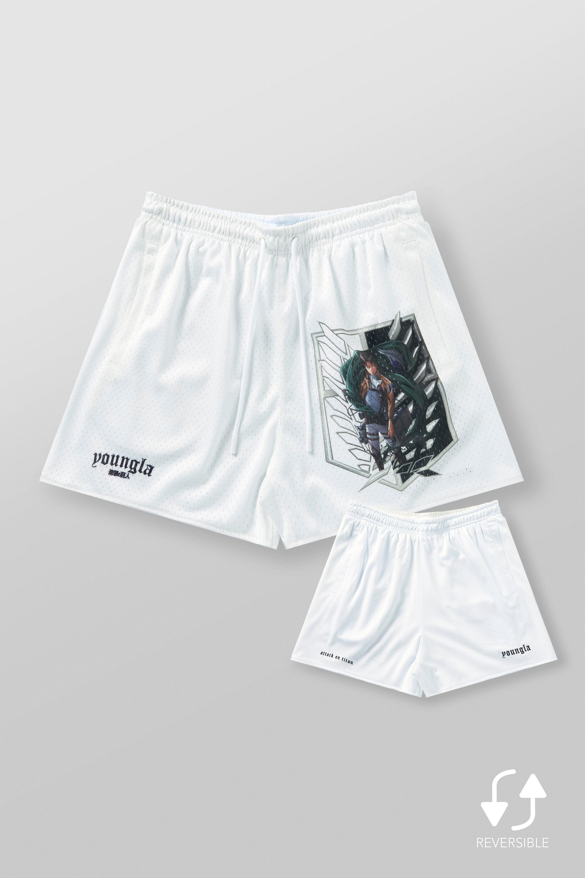 1126 - AOT© x YLA Mesh Shorts